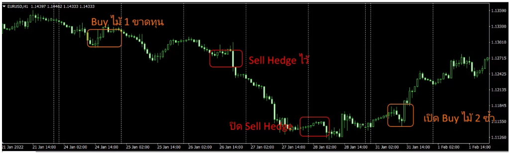 การทำ Hedging เพื่อป้องกันการล้างพอร์ตแก้ไม้