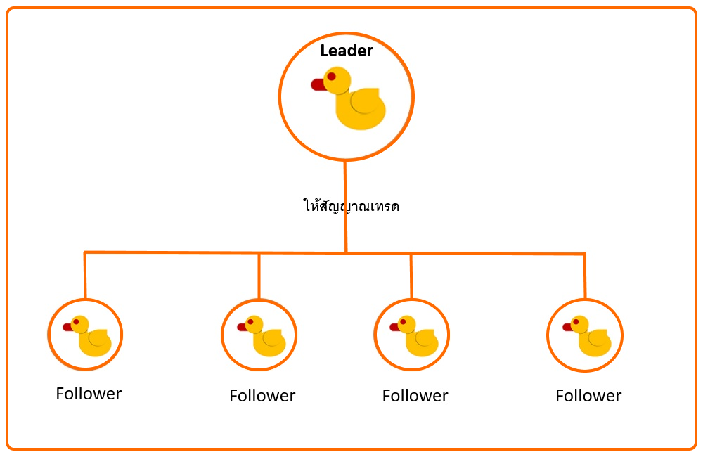 Social Trading Platform คืออะไร