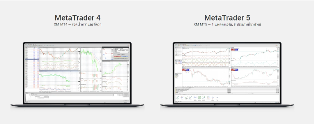 cTrader XM