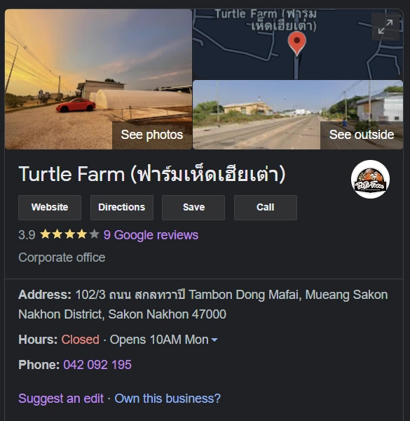 7 สรุปรีวิว Turtle Farm