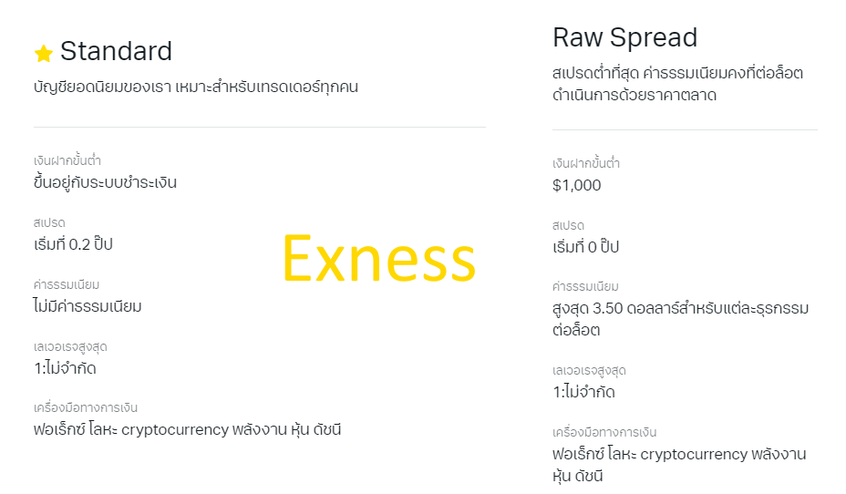 บัญชี Raw Spread กับ Standard ต่างกันยังไง Exness