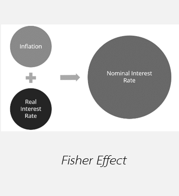1 Fisher Effect