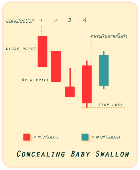 concealing baby swallow2