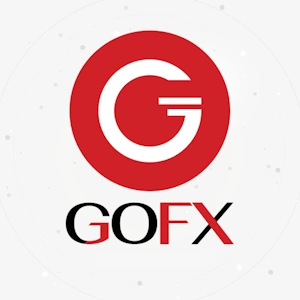 GoFX