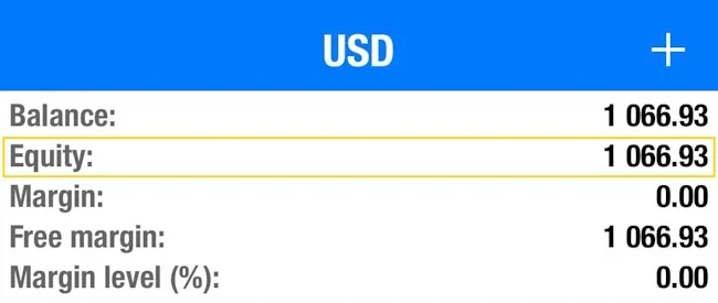 Equity Equity คืออะไร