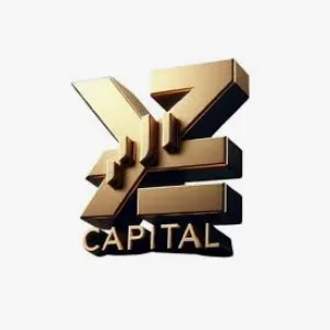 Zyzcapital
