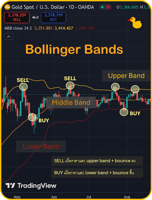 2 Indicator Forex ที่แม่นยำที่สุด Bollinger Bands 2 Indicator Forex ที่แม่นยำที่สุด Bollinger Bands