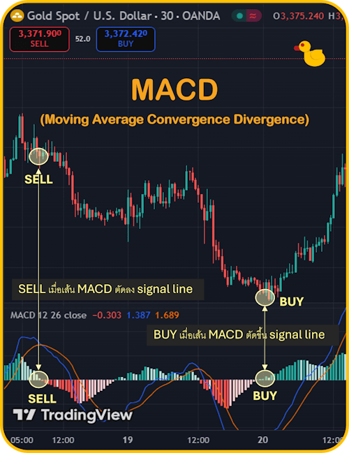 3 Indicator Forex ที่แม่นยำที่สุด MACD 3 Indicator Forex ที่แม่นยำที่สุด MACD
