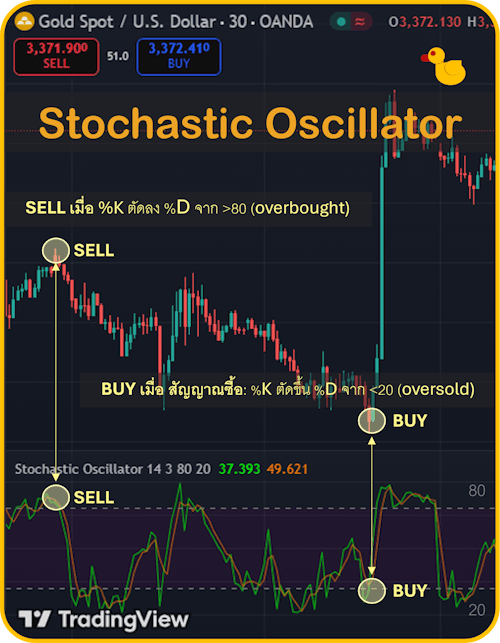 5 Indicator Forex ที่แม่นยำที่สุด Stochastic Oscillator 5 Indicator Forex ที่แม่นยำที่สุด Stochastic Oscillator
