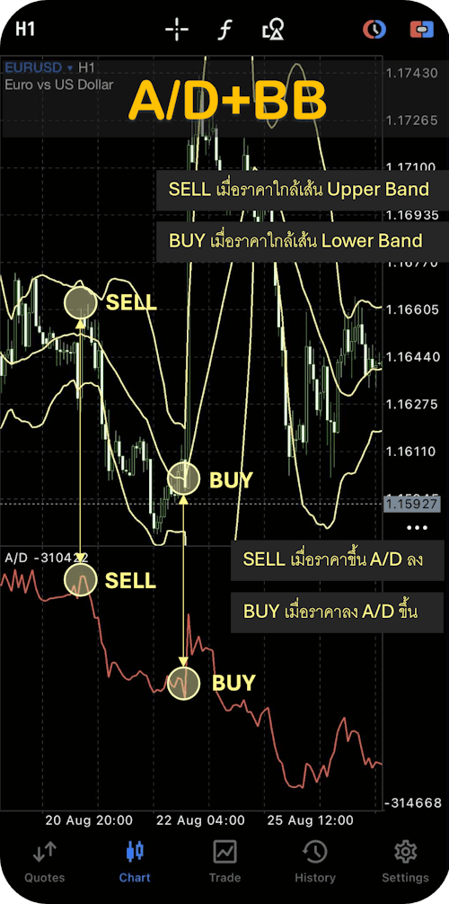 AD Indicator ร่วมกับ Bollinger Band