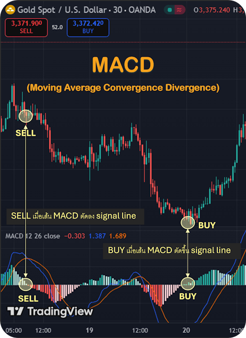 Indicator MT5 แนะนำ MACD Indicator MT5 แนะนำ MACD