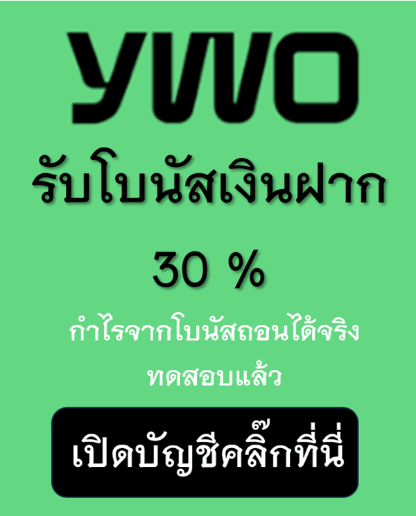  YWO Promotion