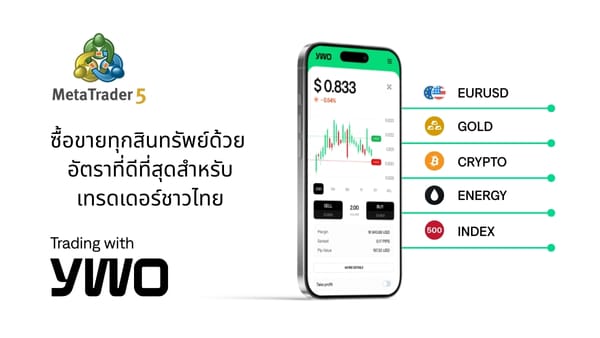 ติดต่อ YWO ติดต่อ YWO