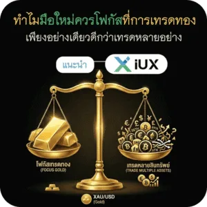 ทำไมมือใหม่ควรโฟกัสที่การเทรดทองเพียงอย่างเดียวดีกว่าเทรดหลายอย่าง (1)